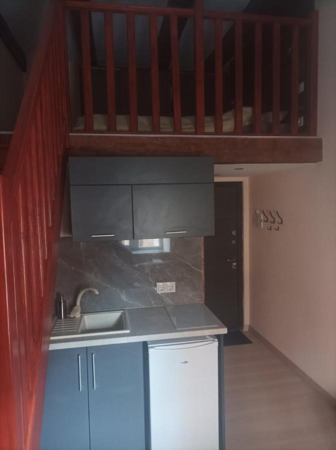 Chorni Vivtsy Apartment Chernivtsi Ngoại thất bức ảnh